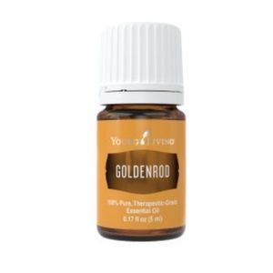 New Goldenrod Young Living Essential Oil 5ml